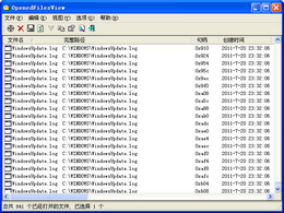 OpenedFilesView 64位