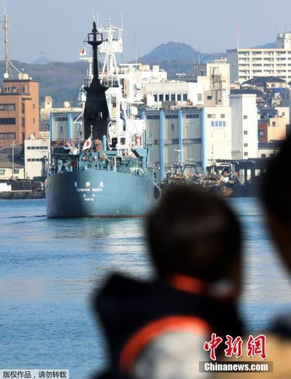 Japan announced that this year, the largest research whaling in the Hokkaido sea 51
