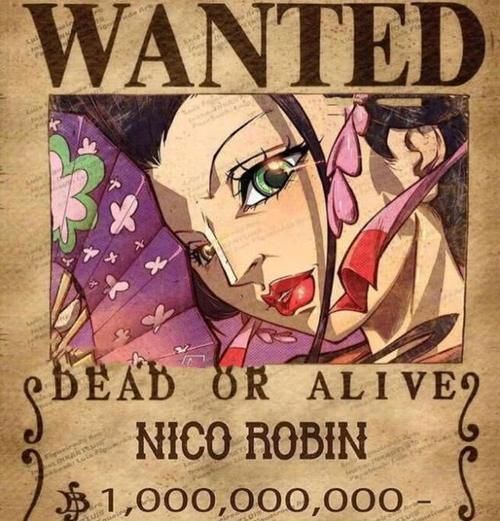 海贼王和之国第几话