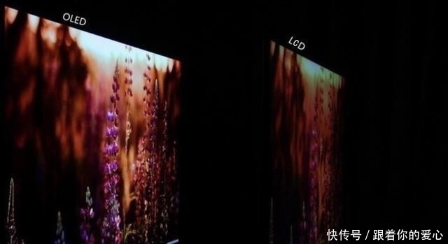 大电视大电视大电视