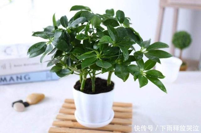 关于这样的句子