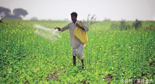 伊朗事件后美国人