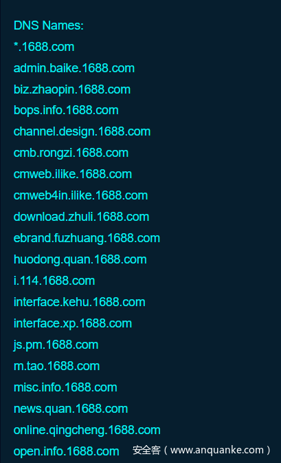 图9 DNS Names 展示 图9 DNS Names 展示