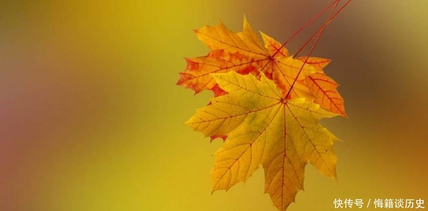 致朋友跨年的文案