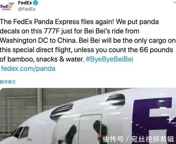 熊猫贝贝今天回国