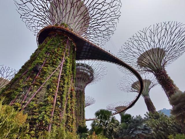 努比亚还出手机吗