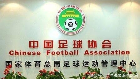 全世界球迷什么的世界杯