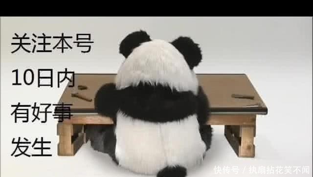 国足u23赛程中国对伊朗