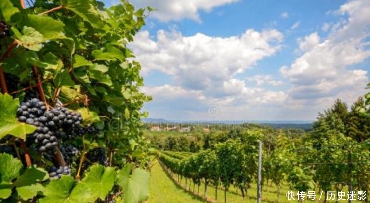 上海近期的气温