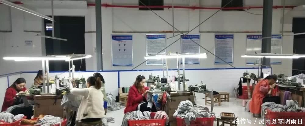 2019主要工作情况