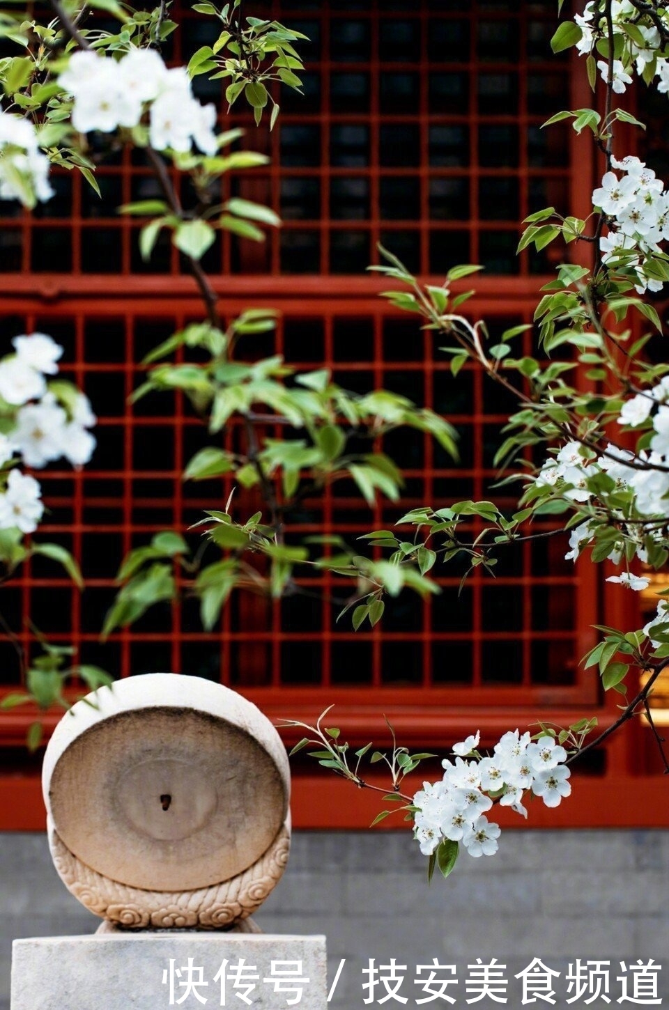 上新了故宫文创产品旅行箱