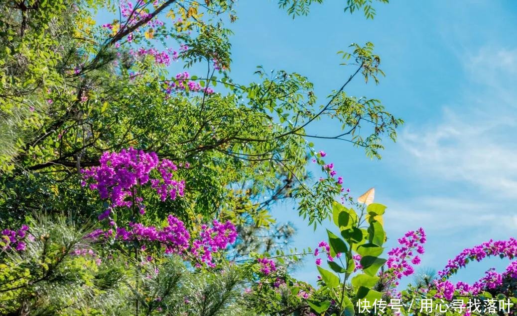 观音文化的对联