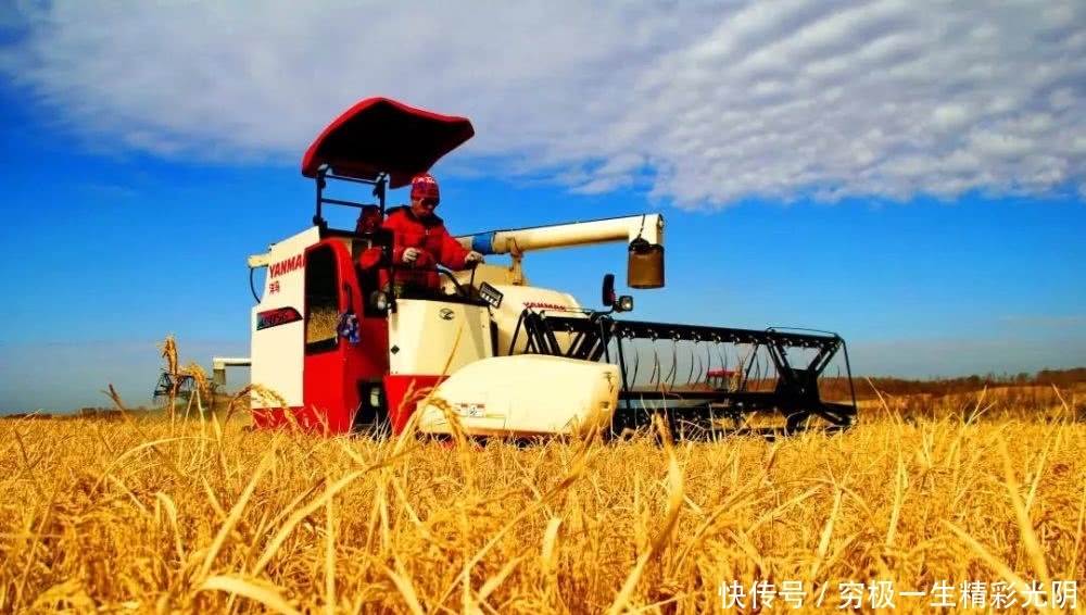 黑土地牌金奖大米