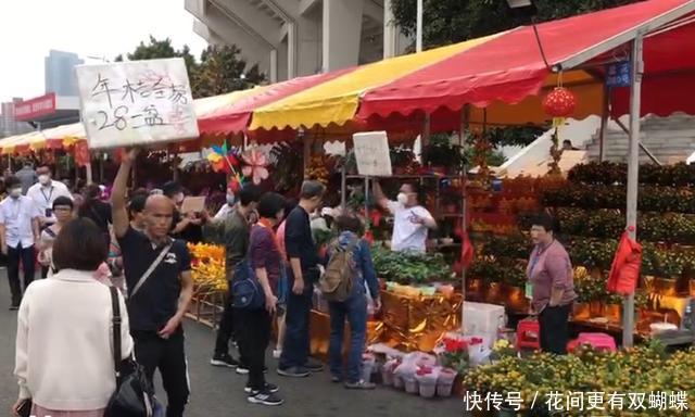 广州花市提前结束
