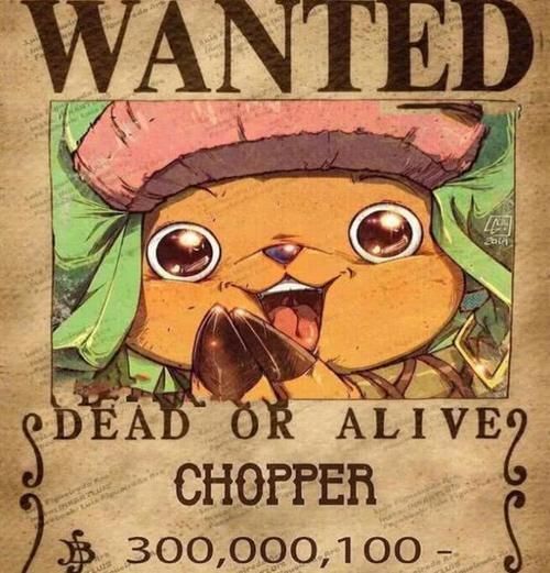 海贼王和之国第几话