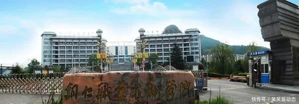 高职教育双高名单