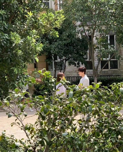 肖战余生请你指教