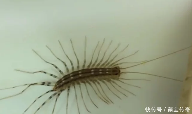 登錄查看大圖