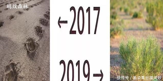 2019年9月蚂蚁森在联合国