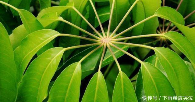 关于这样的句子