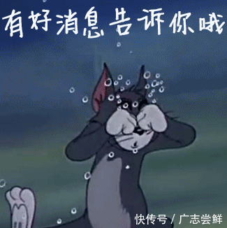 市财政局关于印发