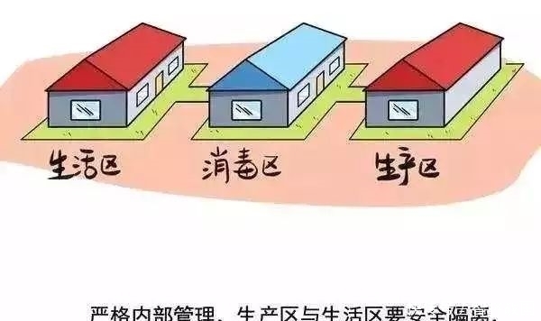 非洲非洲猪瘟疫情现状