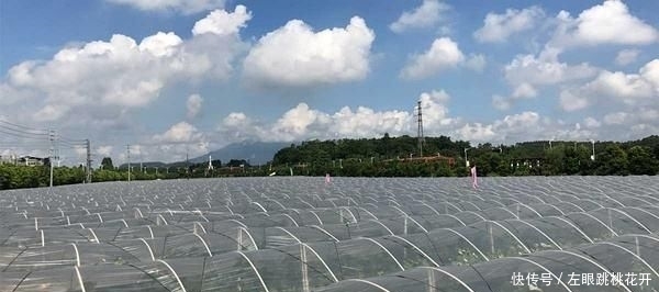 现代农业发展重点是发展