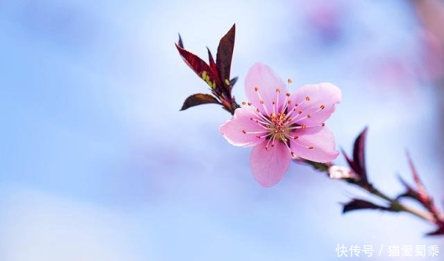 没有没有的句子