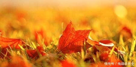 致朋友跨年的文案