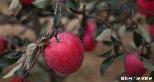 现代农业发展重点是发展