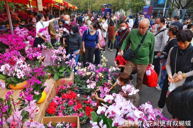 广州花市提前结束