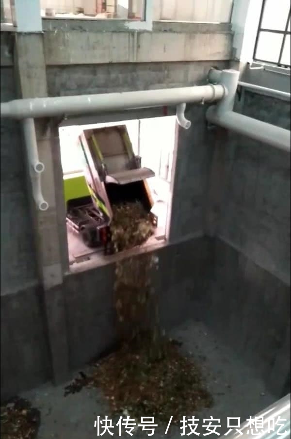 生活垃圾分类管理实行