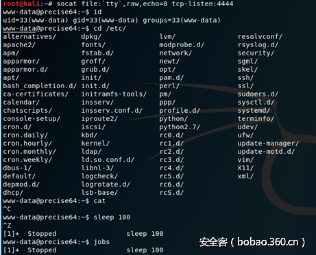 t010567898015439cd0.png http://p5.qhimg.com/t010567898015439cd0.png