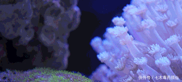 长沙到高铁的高铁