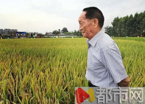 袁隆平是多少人