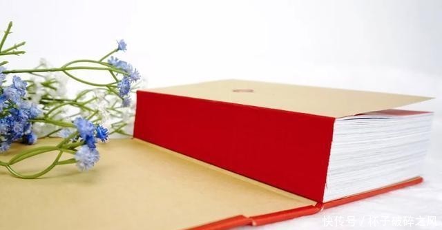 两岸猿声啼不住员是什么猿