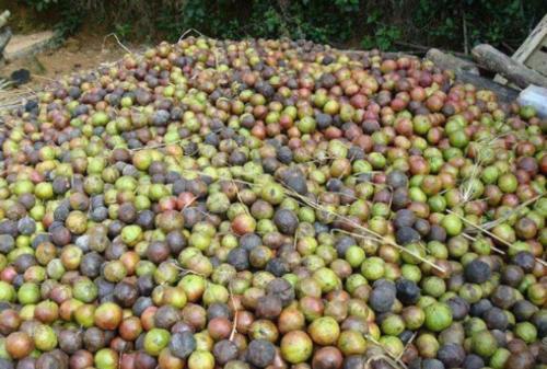 柴油现在价格多少钱一斤