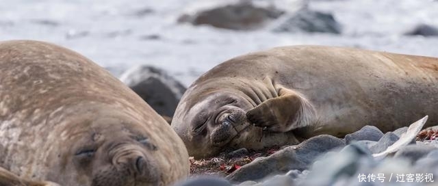 臭氧洞为什么就在南极
