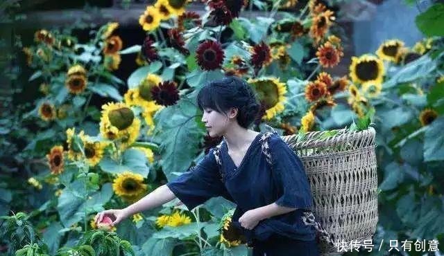 李子柒是文化吗