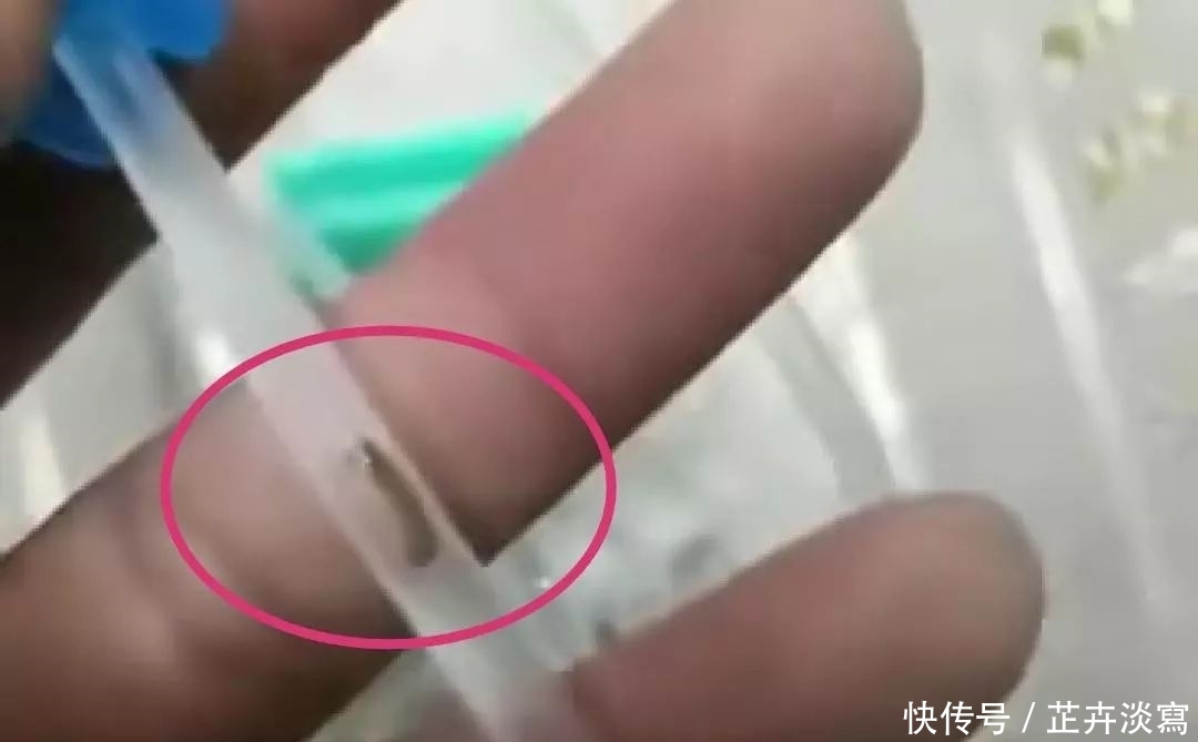 乐山人民医院输液事件