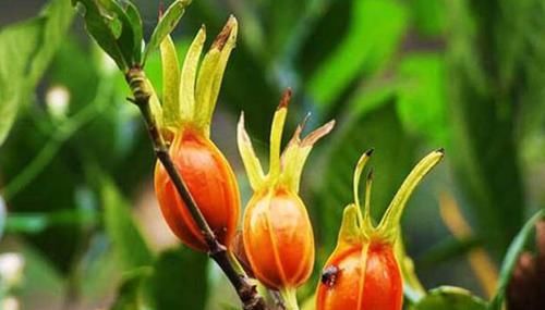 一个男人到了45岁