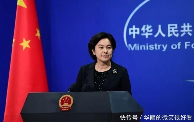 2019这一年真的太难了