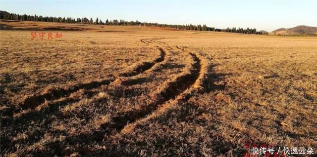 云南寻甸今晚还会地震