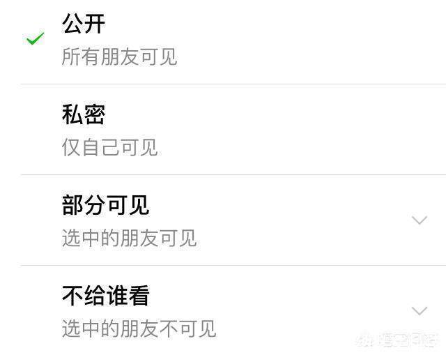 朋友圈设置仅聊天