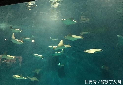 我国自主研发材料