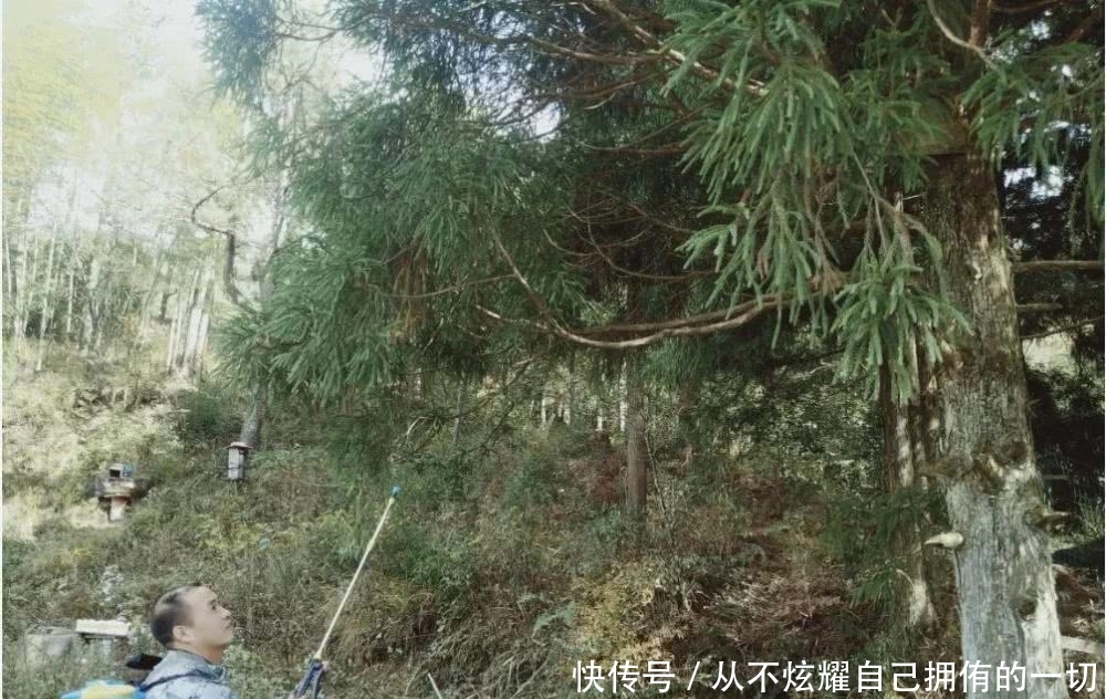 结合初心和使命的主题