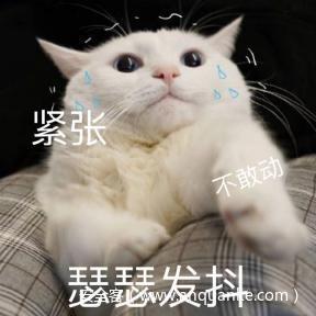 9fb33826807e30571b449836fe98eb2