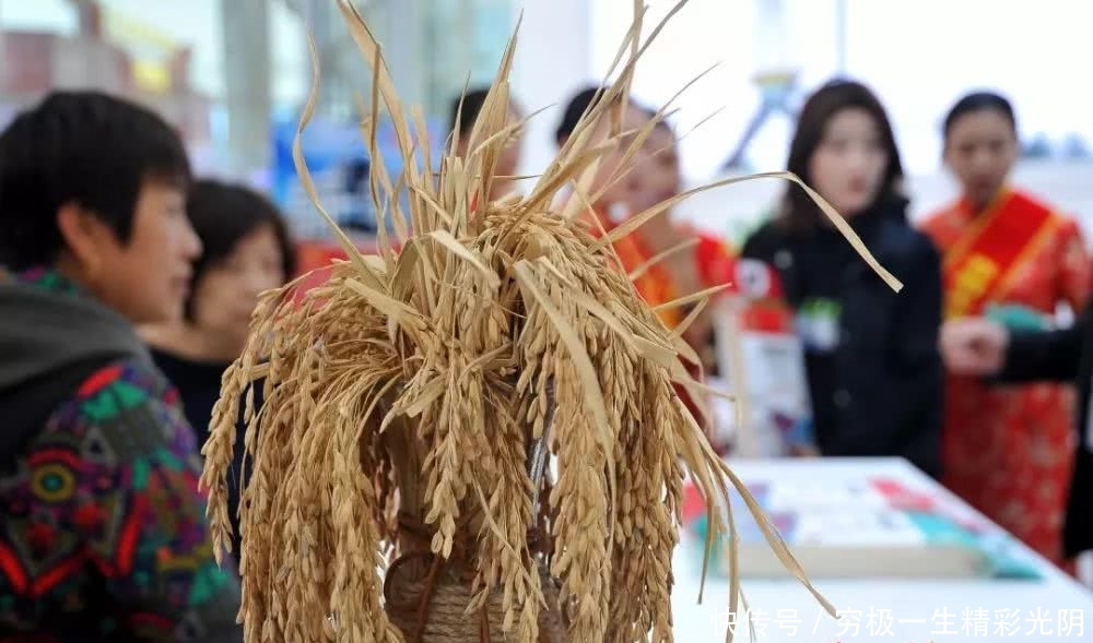 黑土地牌金奖大米